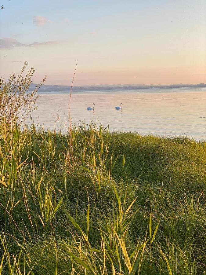Ferien-Apartment Eisvogel im Naturschutzgebiet mit Privatstrand Friedrichshafen Exterior foto